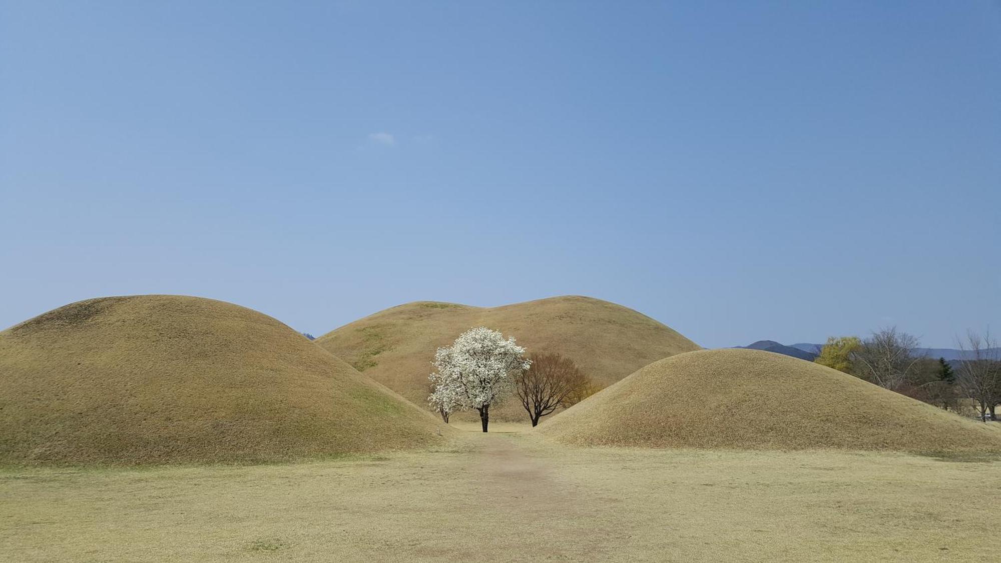 Trip To Gyeongju Hotel ภายนอก รูปภาพ